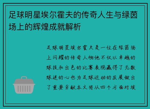 足球明星埃尔霍夫的传奇人生与绿茵场上的辉煌成就解析